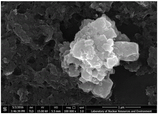 Preparation method of ZnO/MoS2 nanosheet compound photocatalyst