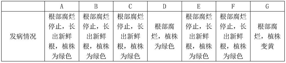 A kind of functional fertilizer and its preparation process