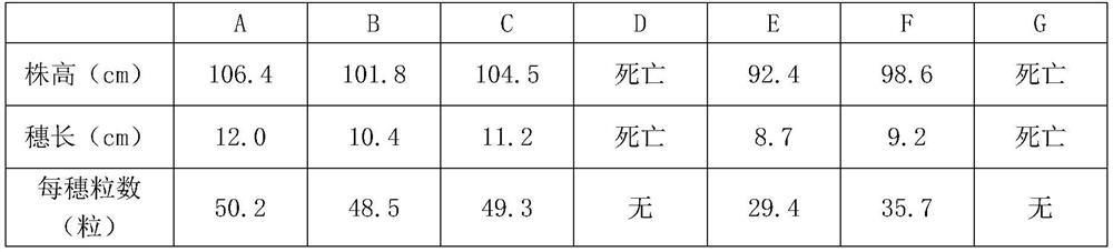 A kind of functional fertilizer and its preparation process