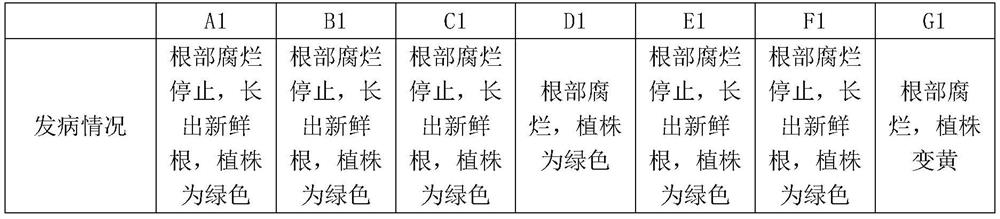 A kind of functional fertilizer and its preparation process