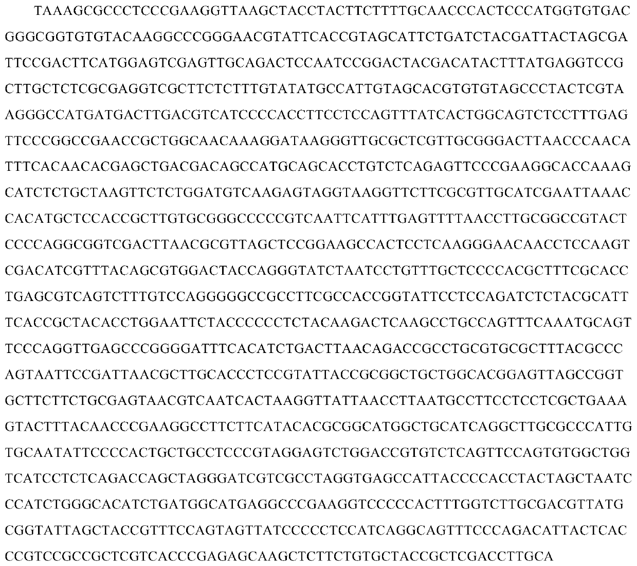 An Antimony-resistant Bacteria nxh2 and Its Application