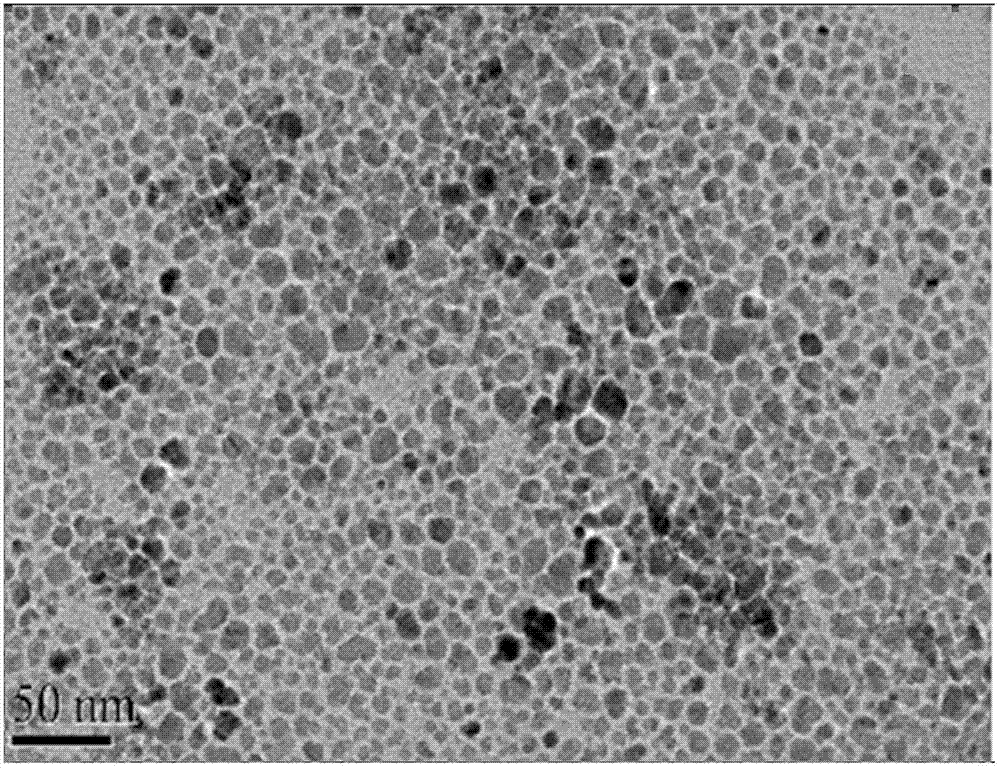 Preparation method of nano Fe3O4 powder for preparation of nano dielectric medium through compounding with polyethylene