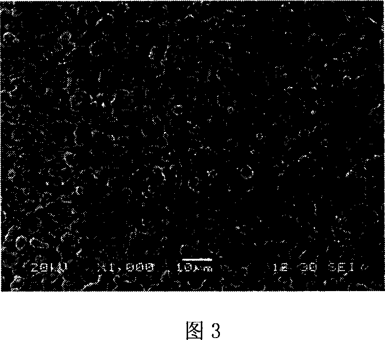 Micro-porous metal film prepn. method