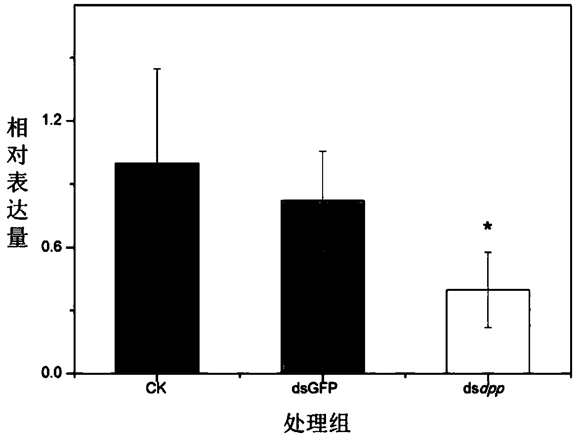 dsRNA of wing growth related gene decapentaplegic and application thereof in pest control