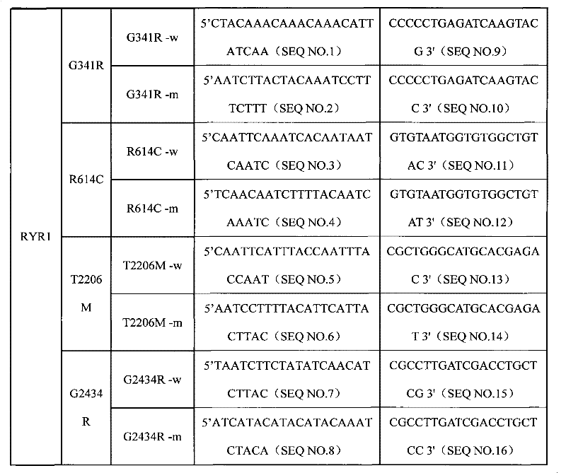 SNP (Single Nucleotide 0olymorphism) detection specific primer, liquid-phase chip and detection method of RYR1 (Ryanodine Receptors 1) gene