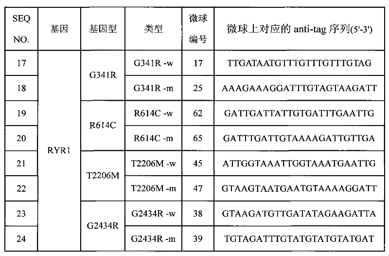 SNP (Single Nucleotide 0olymorphism) detection specific primer, liquid-phase chip and detection method of RYR1 (Ryanodine Receptors 1) gene