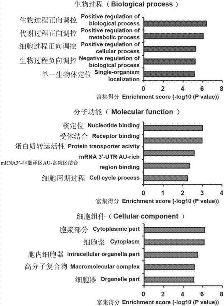 Marker associated with the diagnosis of malignant glioma and application thereof