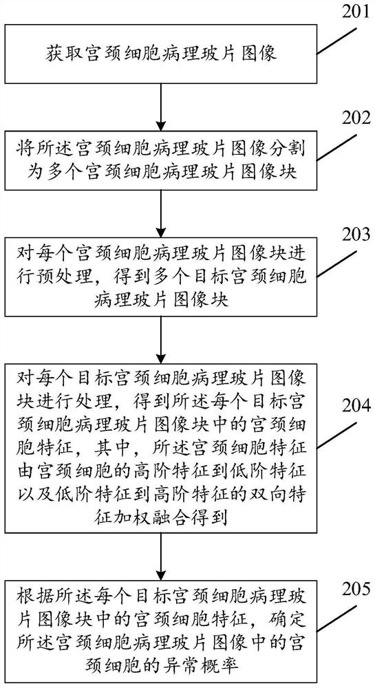 Cervix uteri abnormal cell detection device and method