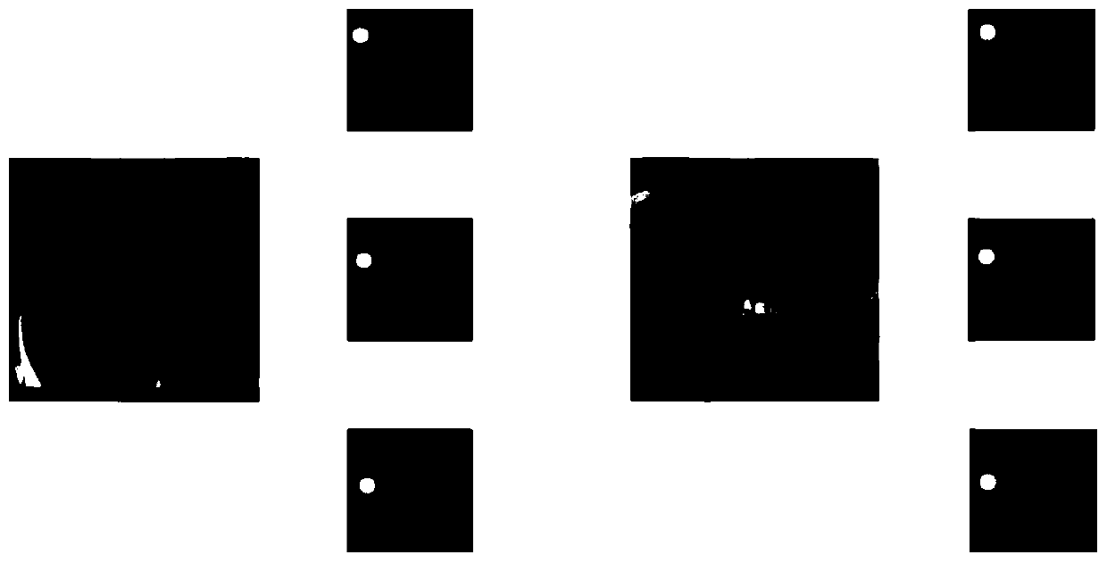 A face key point positioning method with shielding robustness