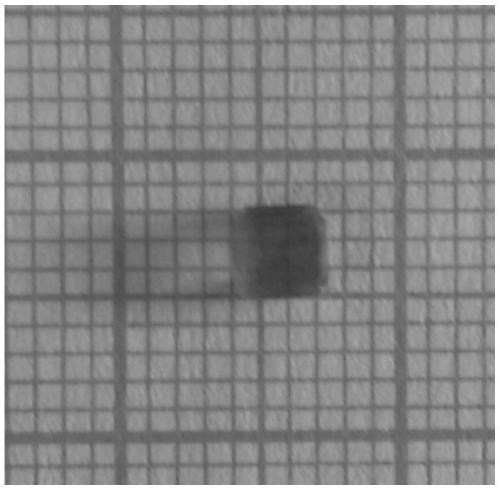 An organic/inorganic hybrid semiconductor bismuth bromide dicyclohexyl imonium compound, crystal and its preparation method and application