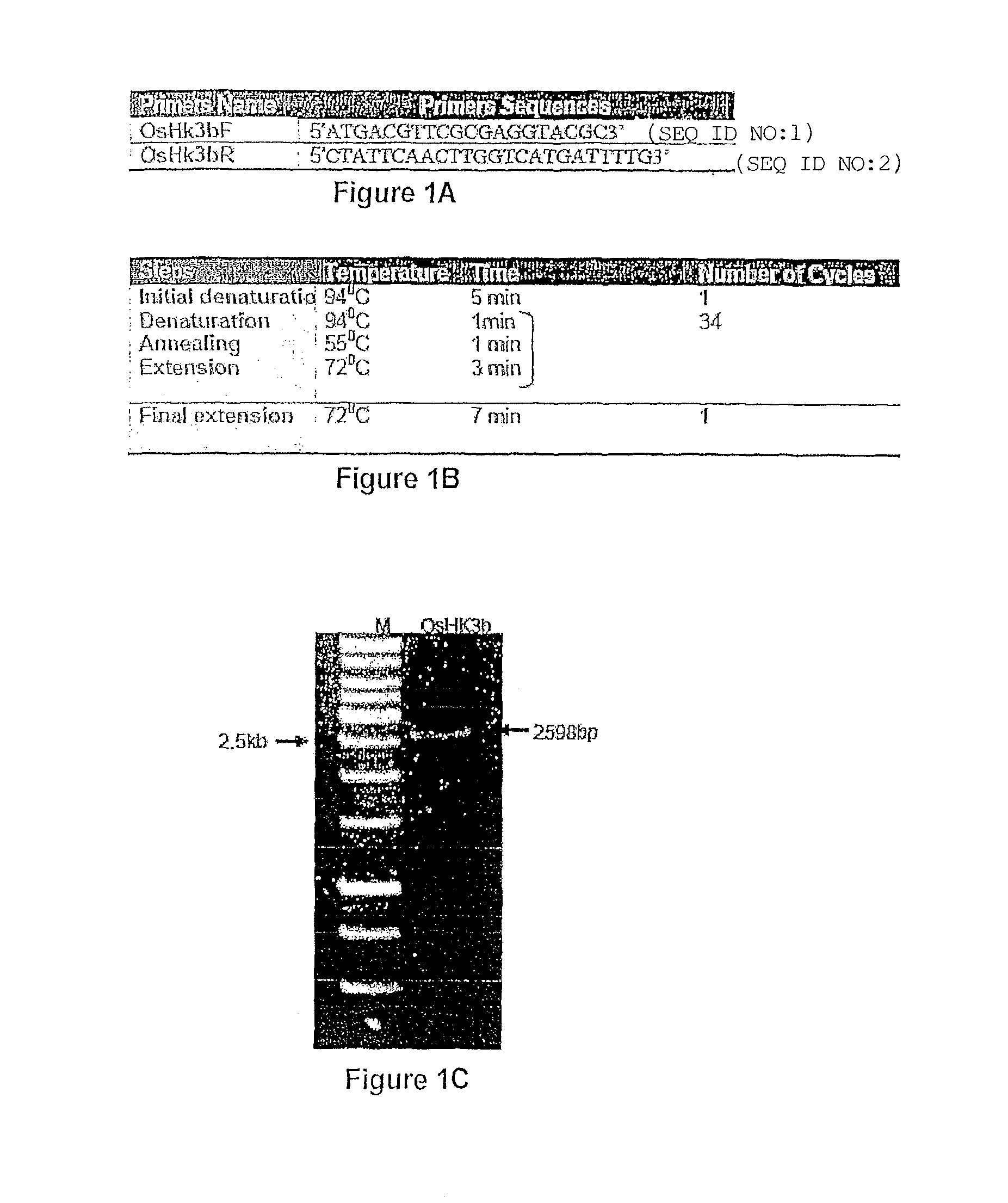 Hybrid type histidine kinase gene isolated from indica rice IR64