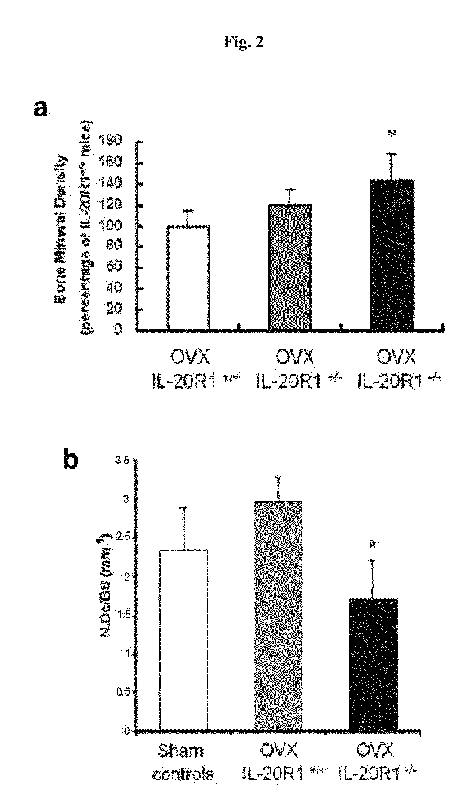 Treating Disorders Associated with IL-20 Receptor-Mediated Signaling Pathway by Blocking IL-20 Receptor Activity