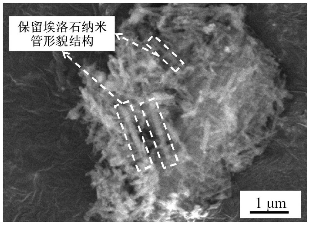 a kind of coal  <sub>2</sub> o  <sub>4</sub> Nano powder, preparation method and application