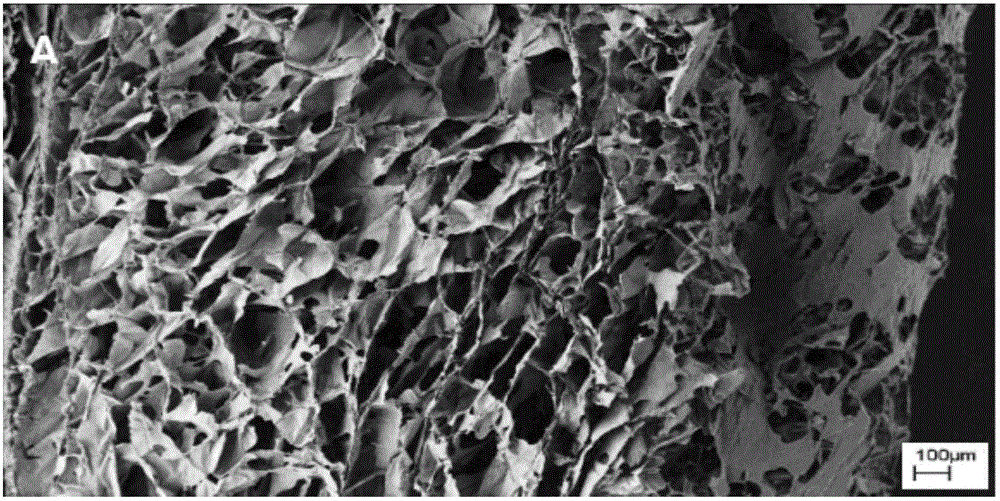 Application of dodecyl chitosan in preparing hemostasis dressing