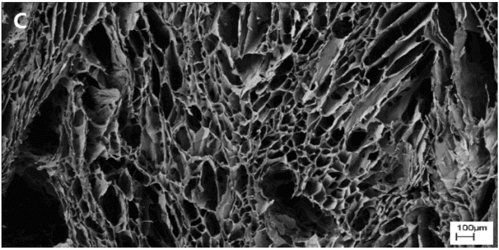 Application of dodecyl chitosan in preparing hemostasis dressing