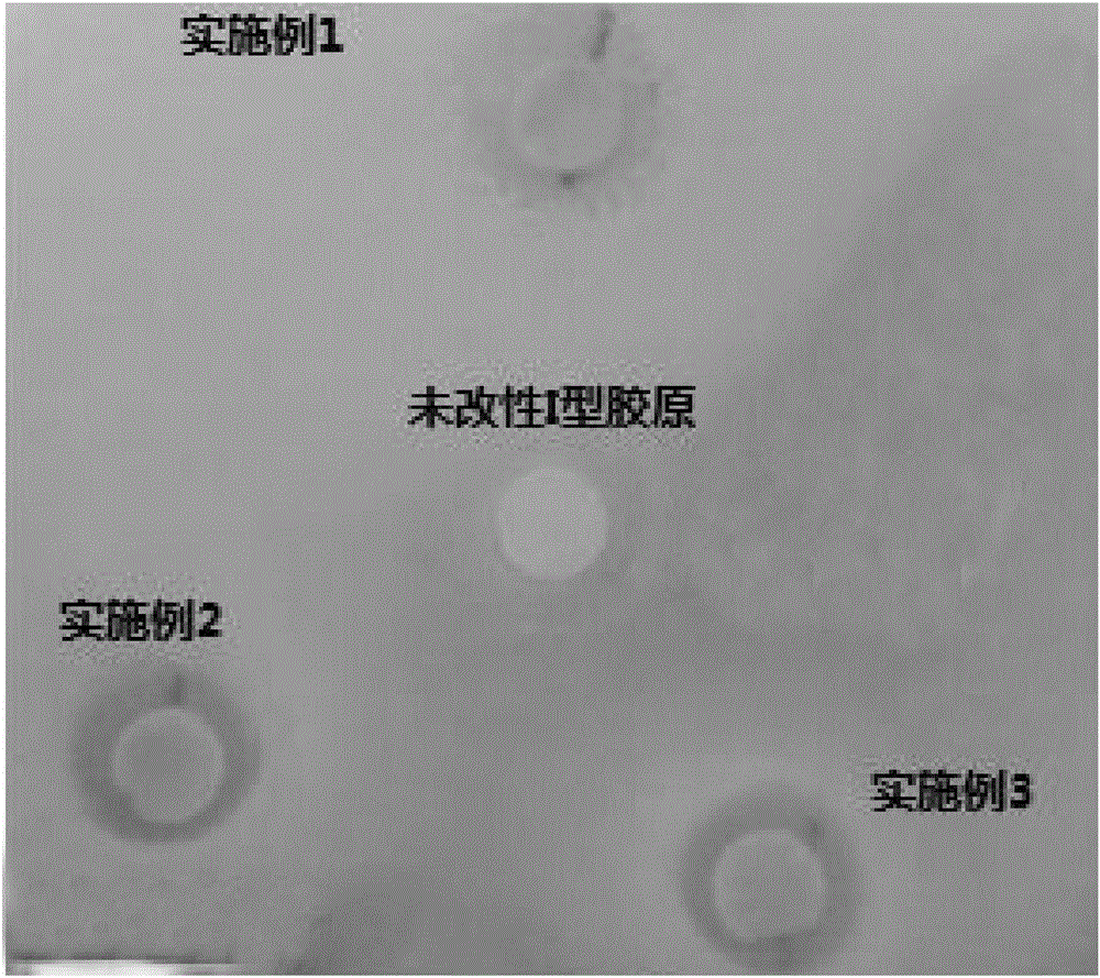 Preparation method for antibacterial collagen