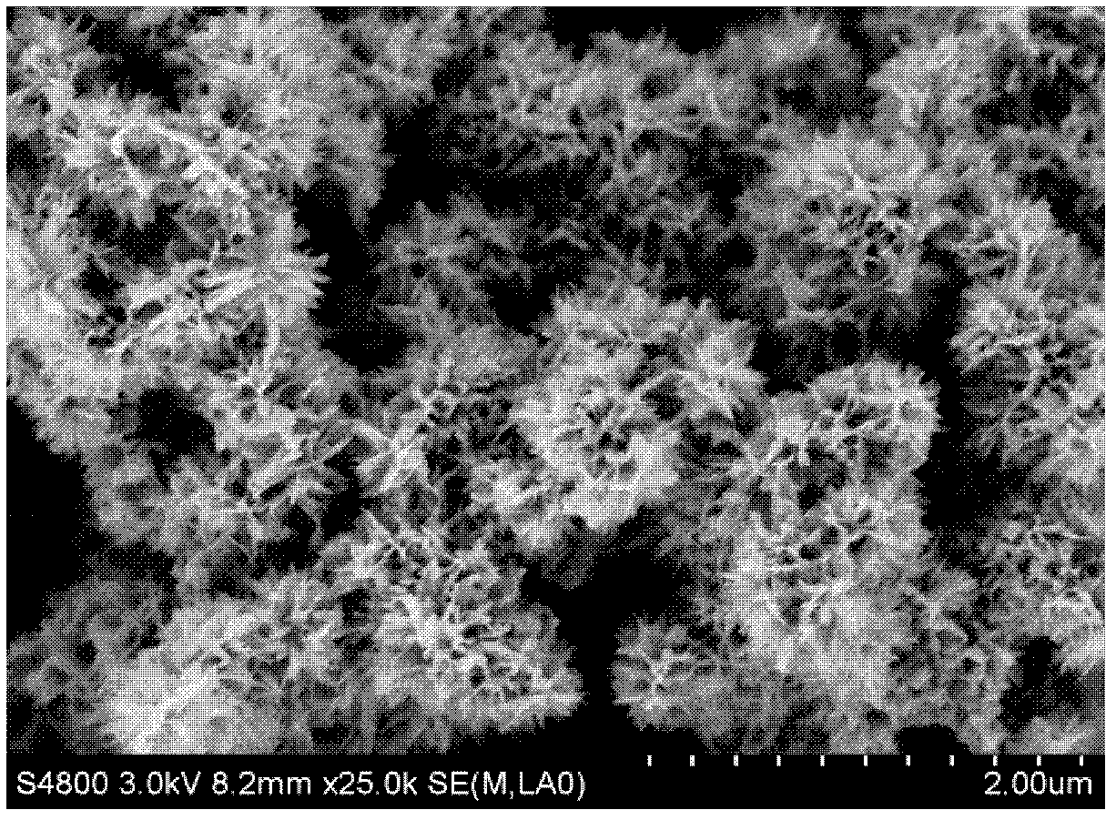 Porous titanium dioxide photocatalyst film and preparation method thereof