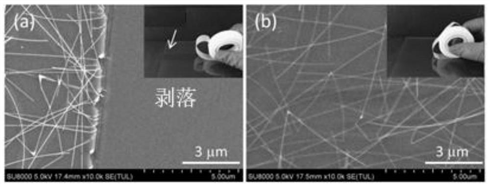 Preparation method of silver nanowire film heater resistant to repeated scraping