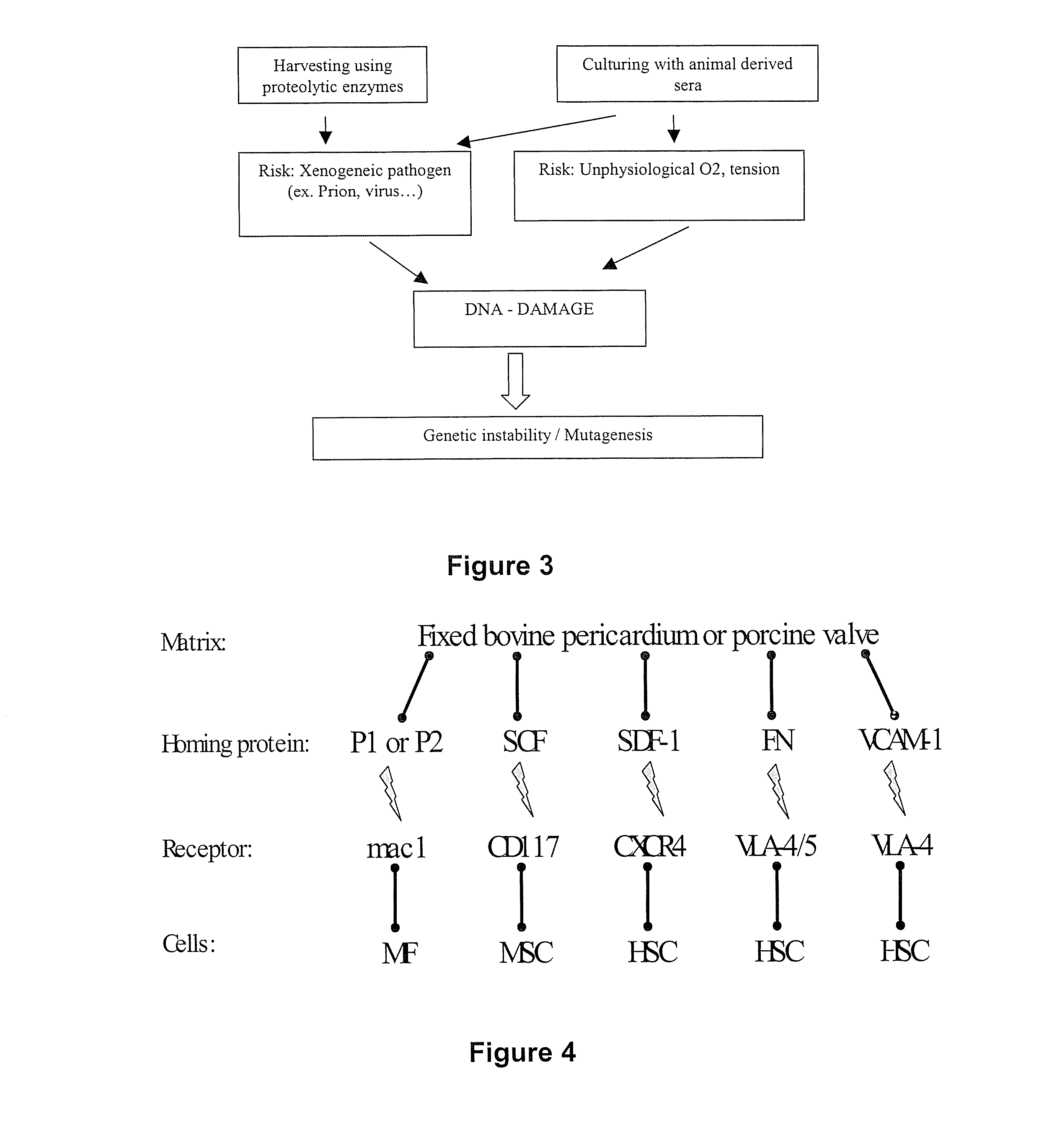 Scaffold engineering