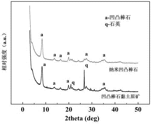 Method for preparing single crystal dispersed nanometer attapulgite through ion liquid synergetic high-pressure homogenizing treatment