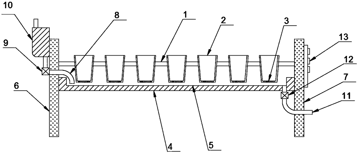 Vegetable planting device