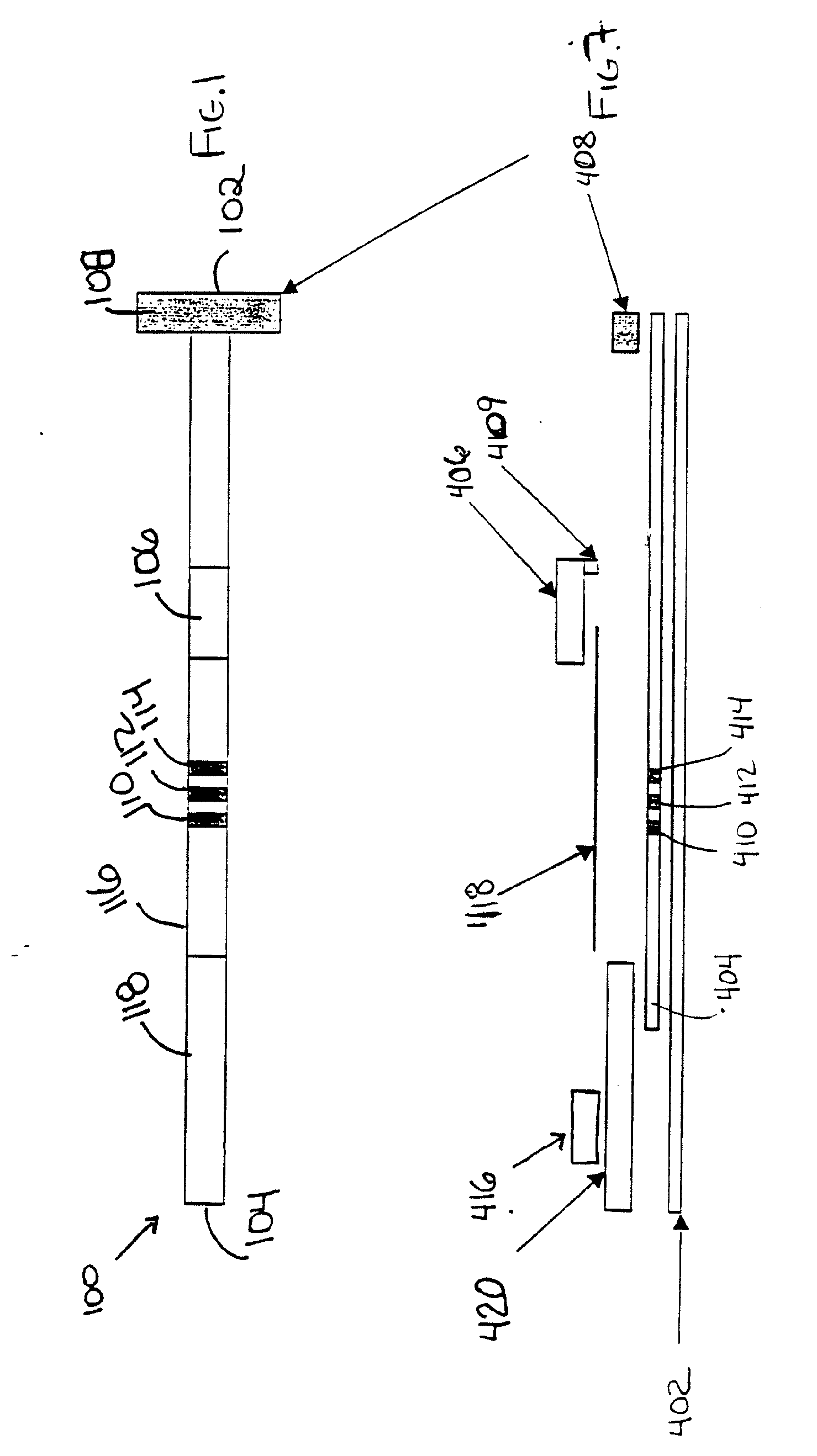 Prewetting lateral flow test strip