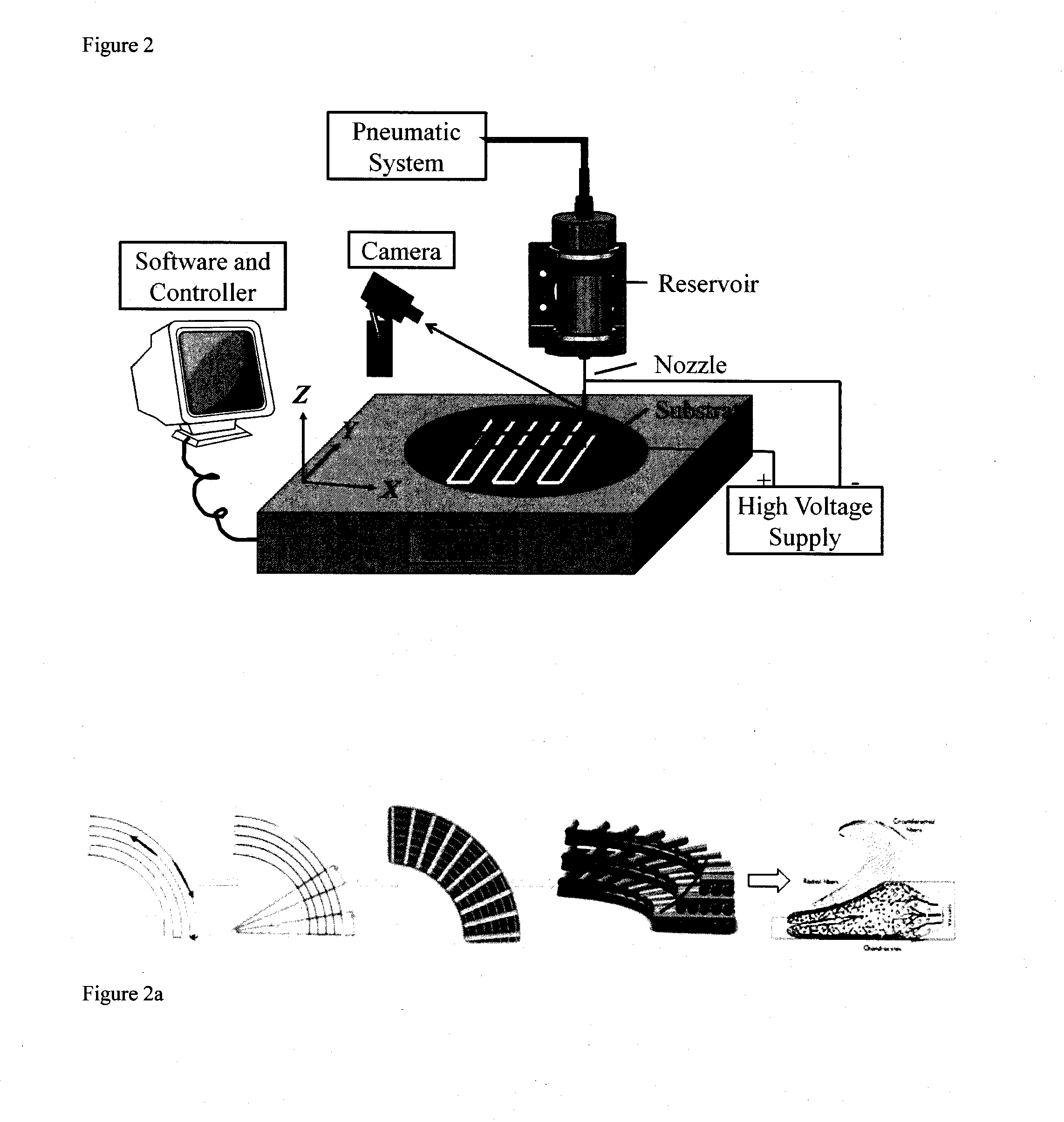 3-dimensional bioscaffolds