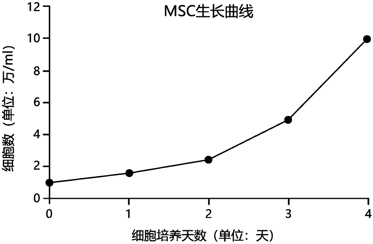 Serum-free medium for mesenchymal stem cells