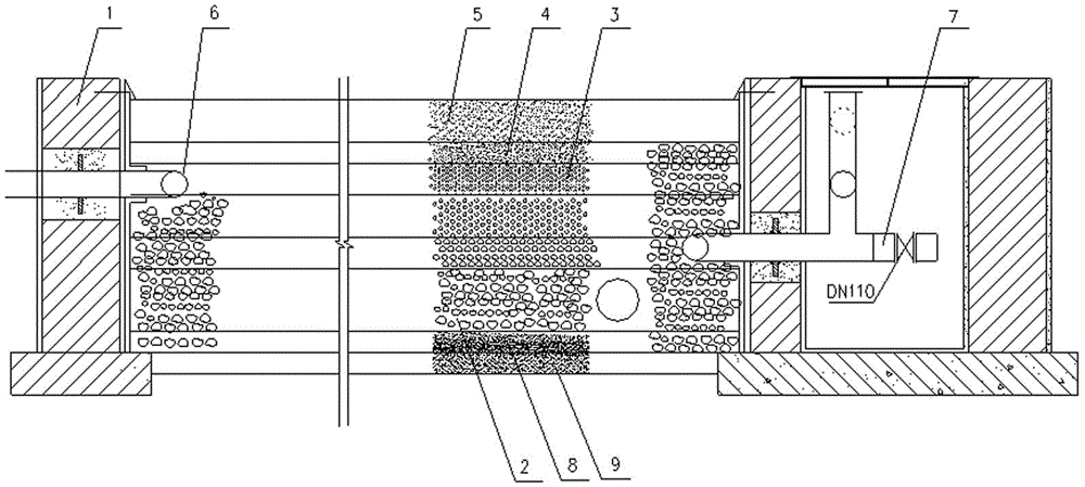 A method for breeding and domesticating subsurface flow constructed wetland plants