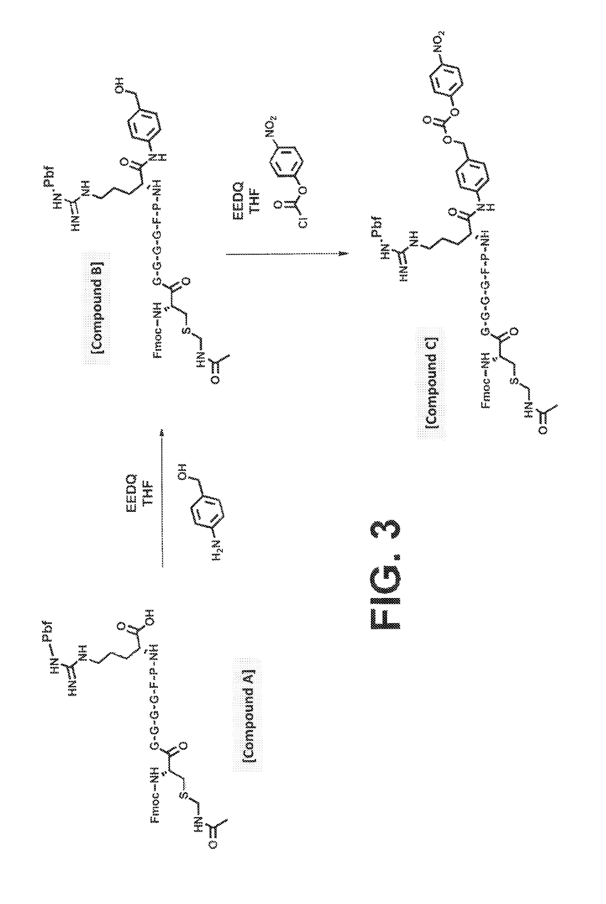 Procoagulant compounds