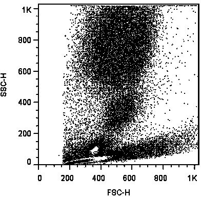 Preparation technology of lecithin-treated adipose stromal vascular components