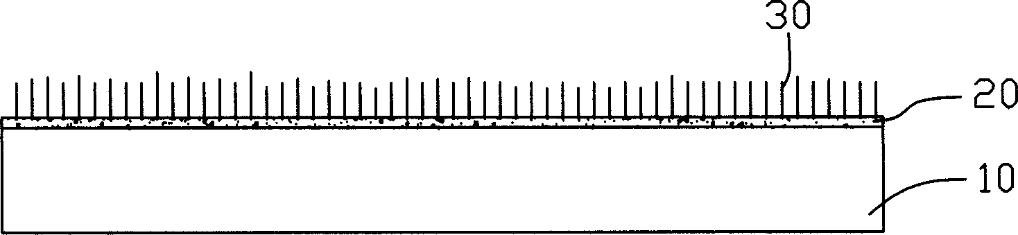 Carbon nano tube field emission device and preparation method thereof