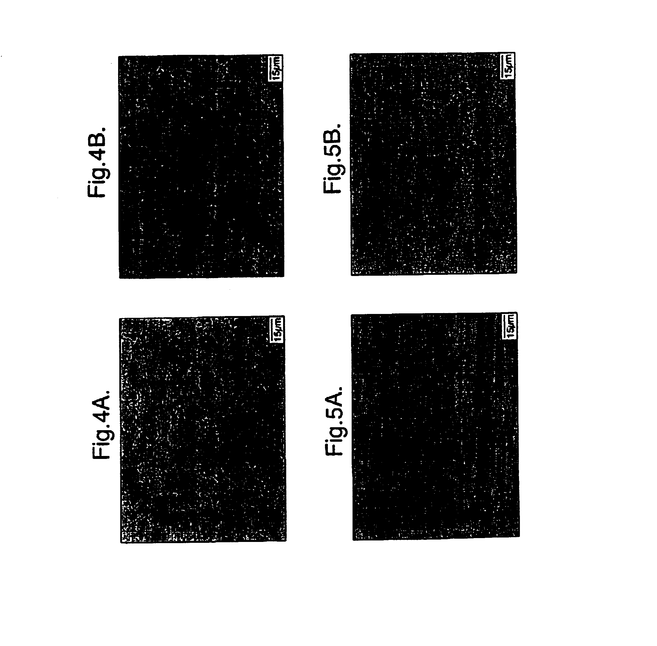 Nickel base superalloy