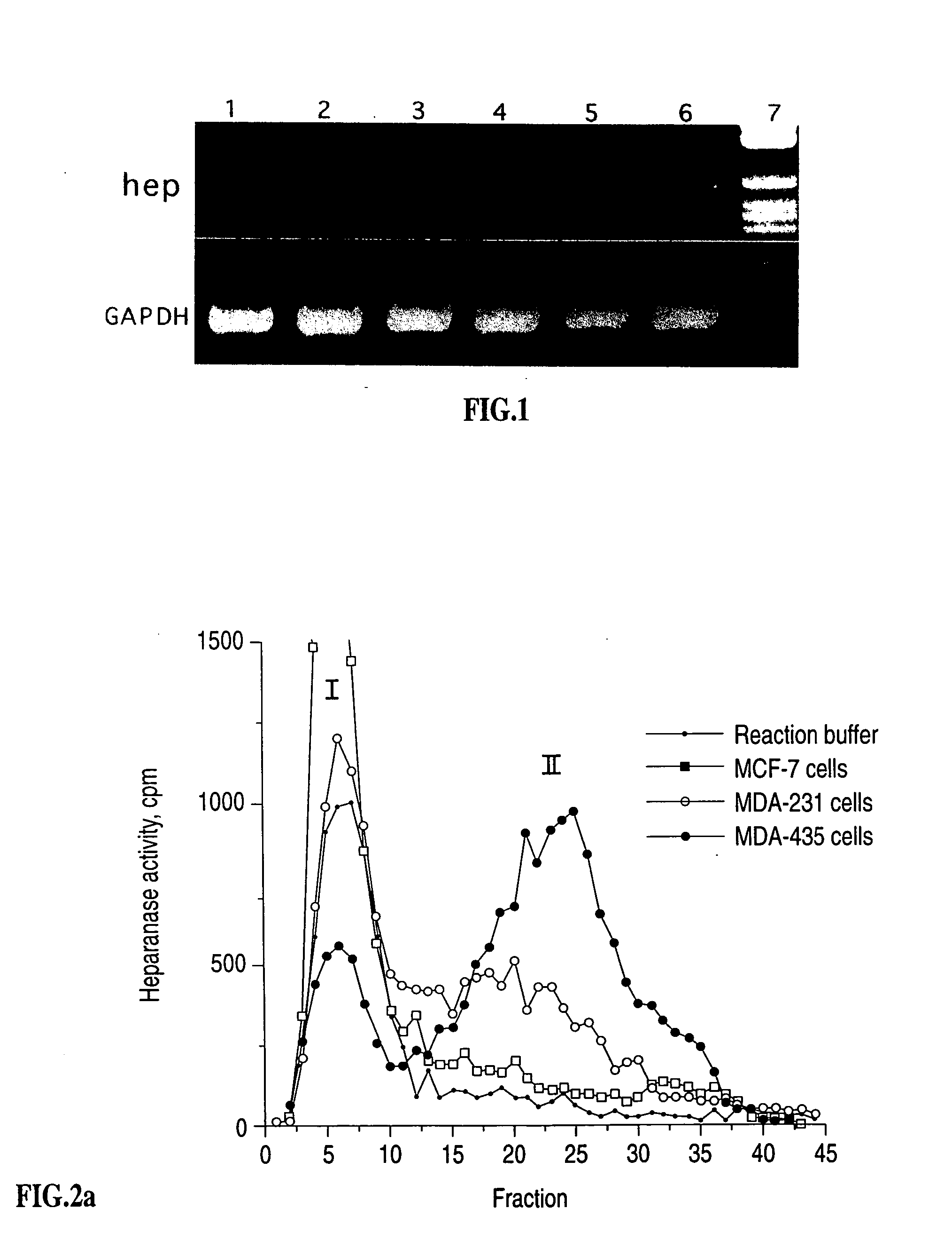 Heparanase specific molecular probes and their use in research and medical applications