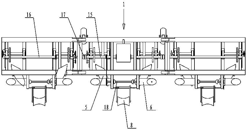 Wide and Narrow Row Sugarcane Cultivator