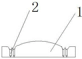 Spinneret provided with specially-shaped holes