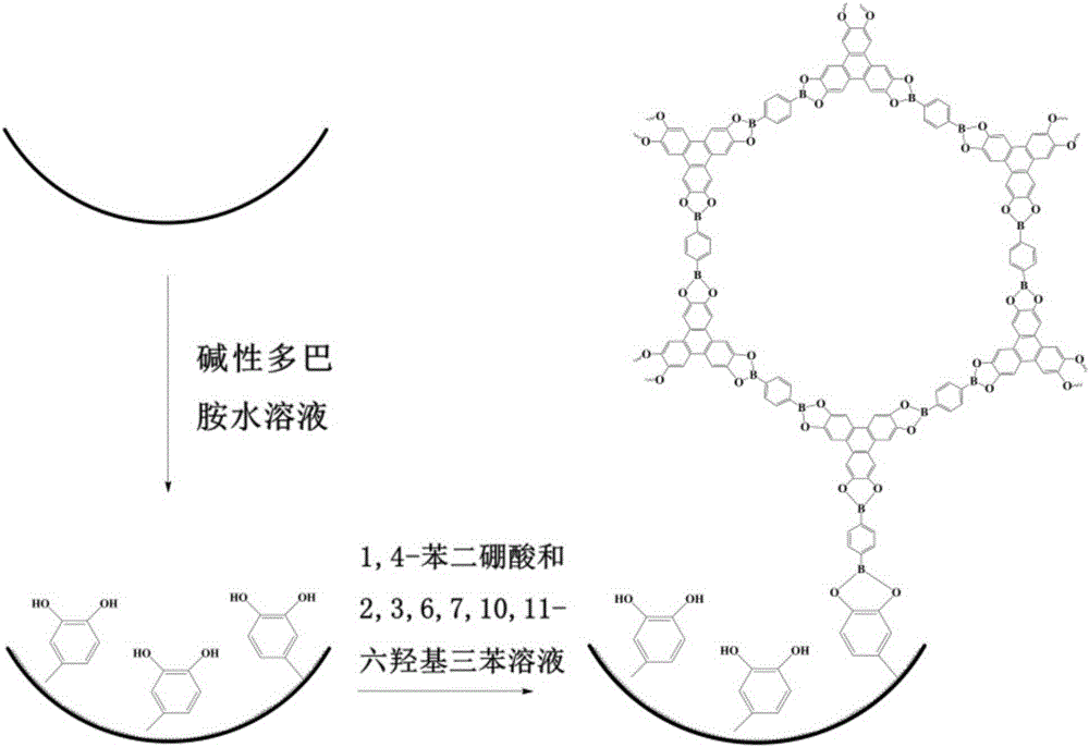 Method for fixing covalent organic framework material, and application thereof