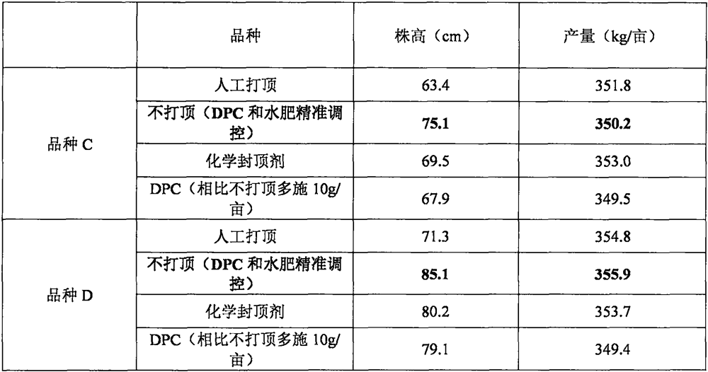 A topping-free cultivation method for machine-harvested cotton based on mepebine and precise operation of water and fertilizer