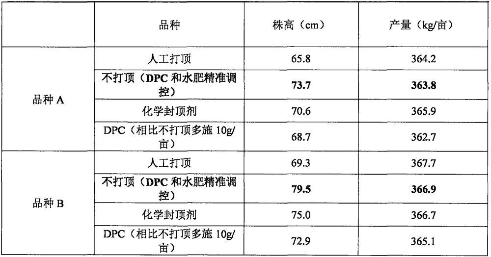 A topping-free cultivation method for machine-harvested cotton based on mepebine and precise operation of water and fertilizer