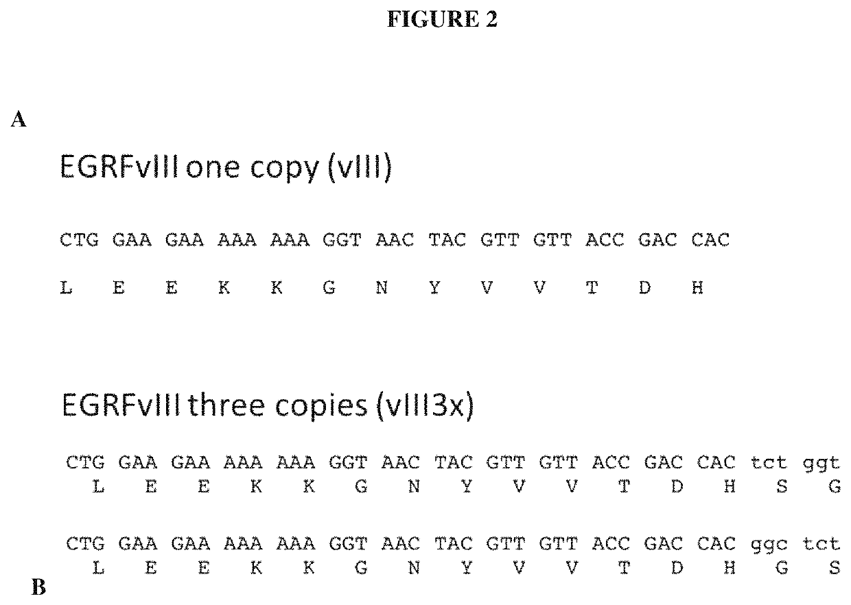 Immunogenic compositions containing bacterial outer membrane vesicles and therapeutic uses thereof