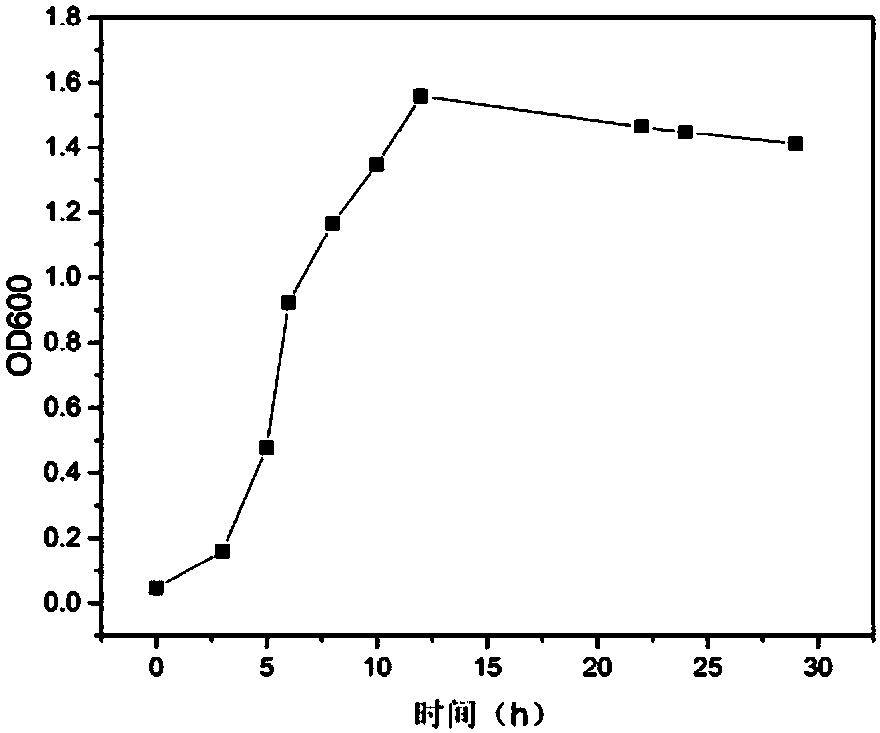 2,4-dinitrotoluene sulfonate efficient degradation strain Microbacterium sp.X3 and application thereof