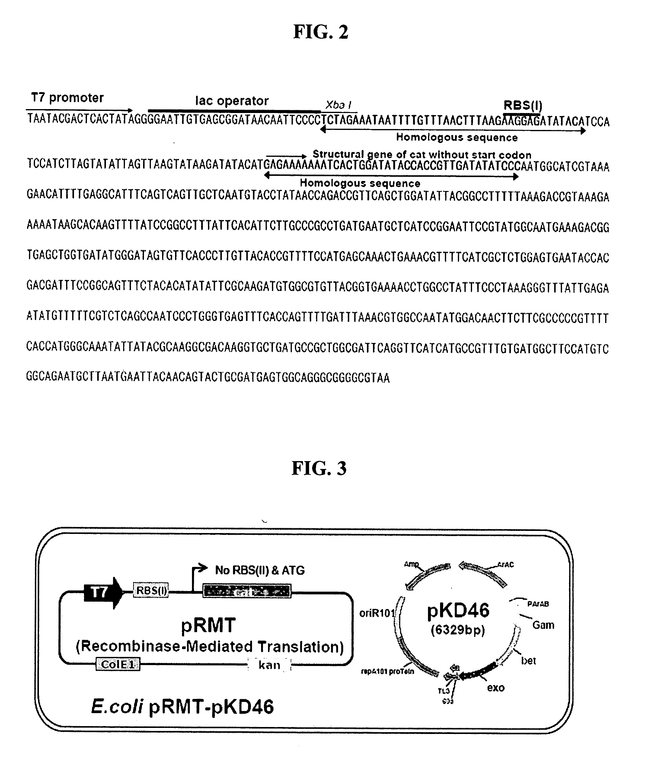 Method for cloning and expressing target gene by homologous recombination