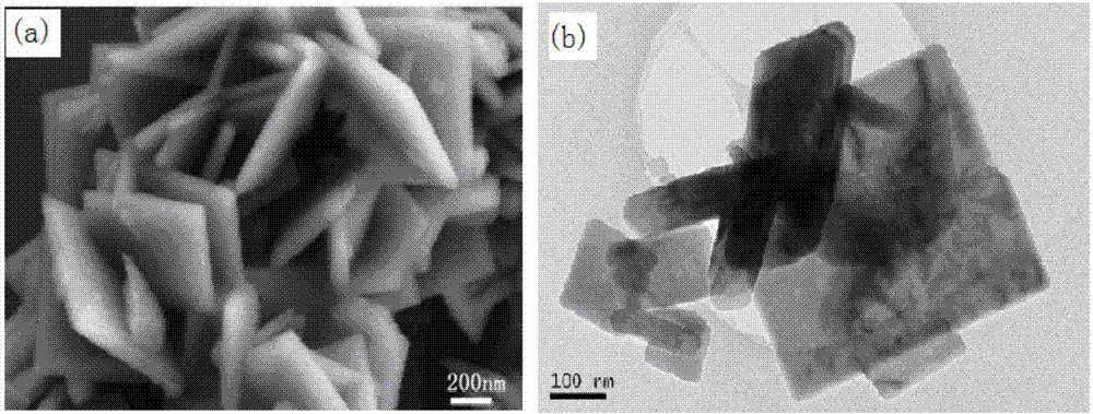 Preparation method and application of fluorine-boron codoped TiO2 nanosheets