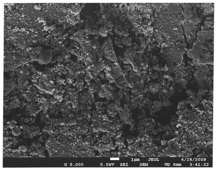 Solid super acidic catalyst and preparation method thereof