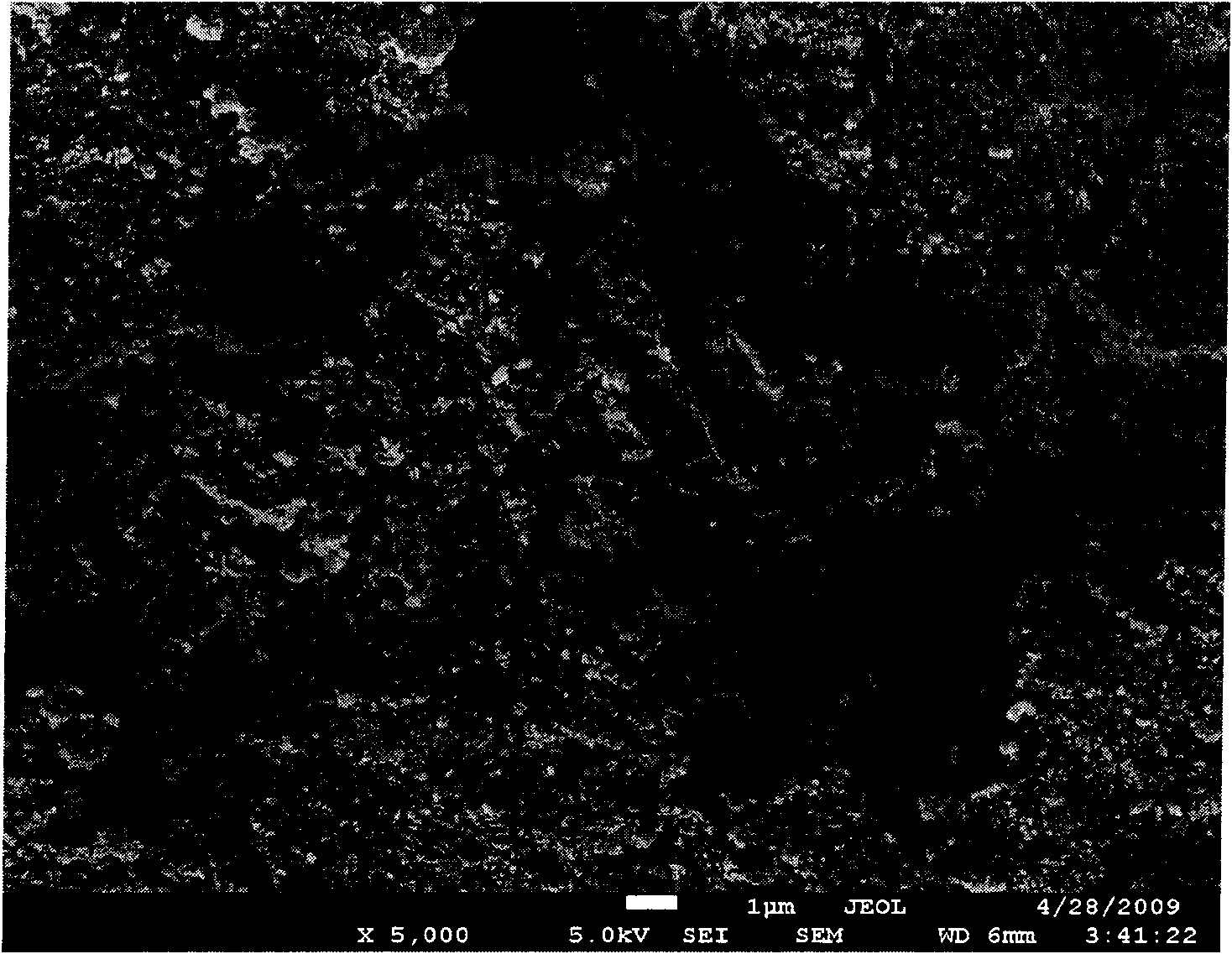 Solid super acidic catalyst and preparation method thereof