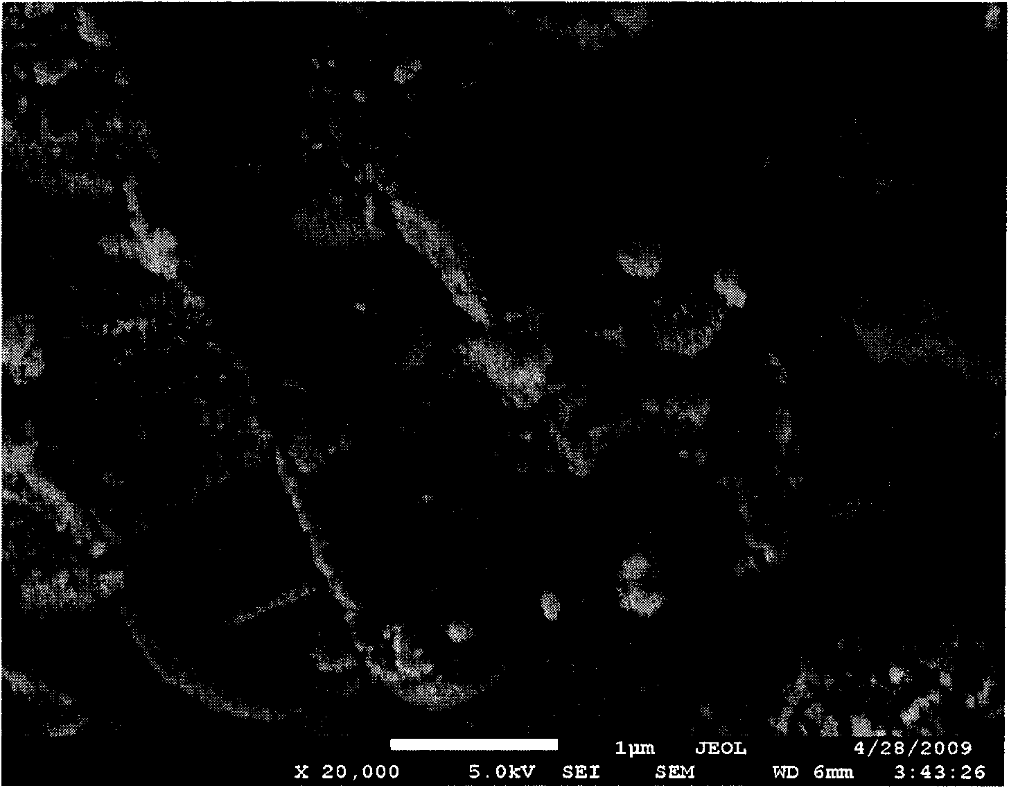 Solid super acidic catalyst and preparation method thereof