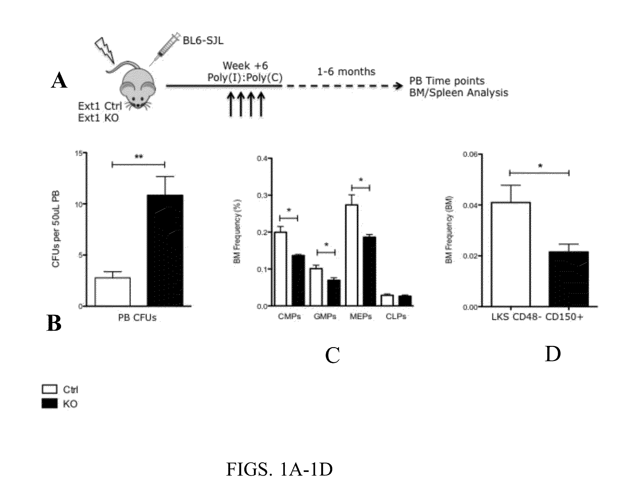 Methods and compositions for mobilizing stem cells