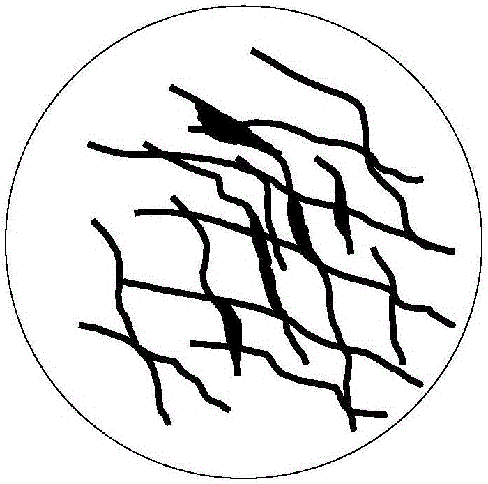 Construction method for micro fracture-pore structure classification plate of granite reservoir