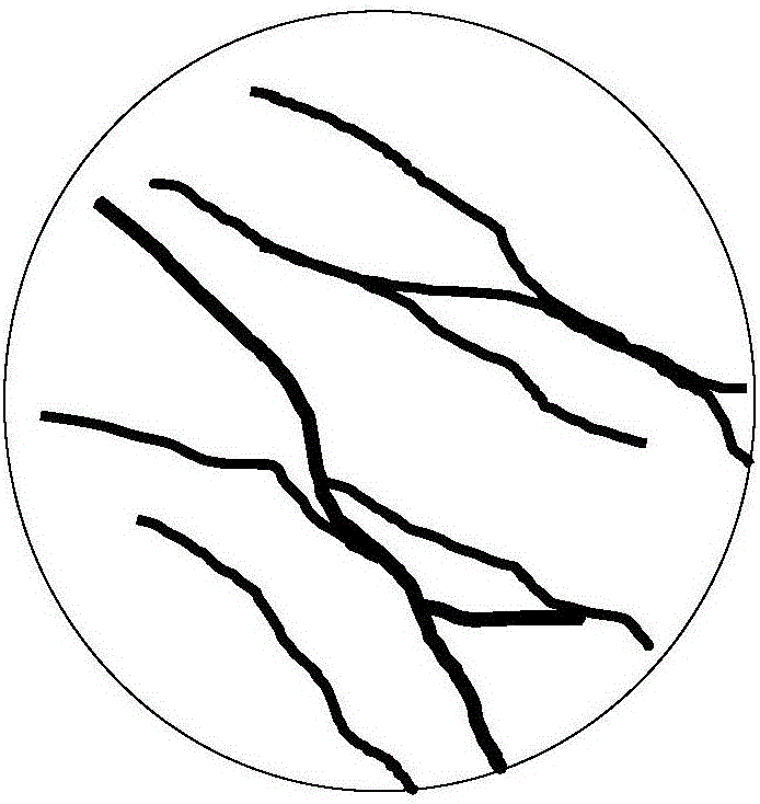 Construction method for micro fracture-pore structure classification plate of granite reservoir