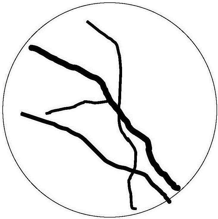 Construction method for micro fracture-pore structure classification plate of granite reservoir